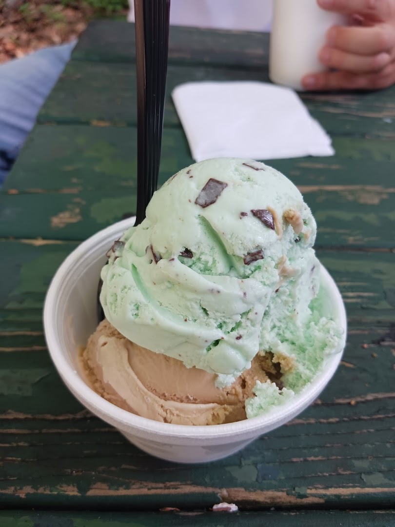 Maryann's Dairy Bar — photo 7